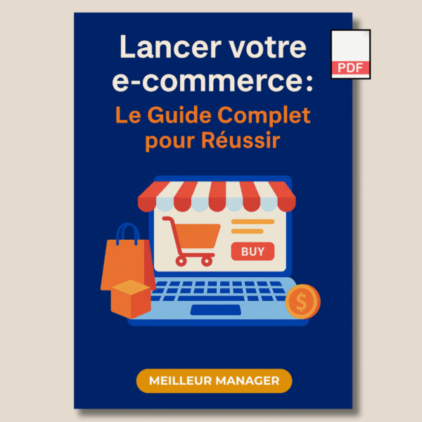 résumé : lancer votre e commerce (pdf)